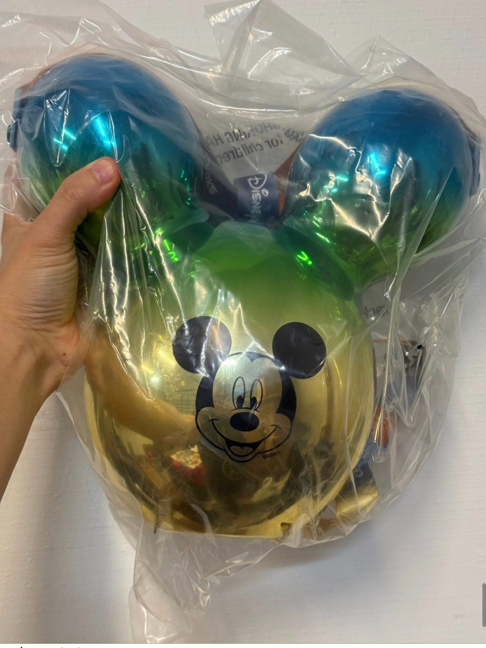 Disney Parks popcorn Bucket